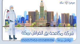 شركة مكافحة بق الفراش بمكة