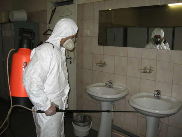 شركة مكافحة حشرات بمكة