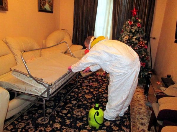 شركة مكافحة حشرات بمكة