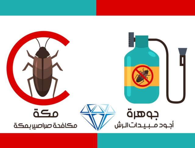 شركة مكافحة الصراصير بمكة: الحل الأمثل لمشكلة الصراصير في منزلك