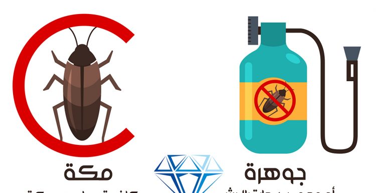 افضل شركة مكافحة الصراصير بمكة