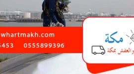 شركة تعقيم خزانات بمكه