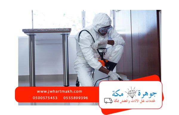 ارخص شركة مكافحة حشرات بمكه