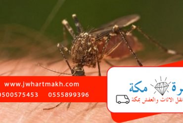 اضرار الناموس