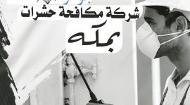 شركة مكافحة حشرات بمكة